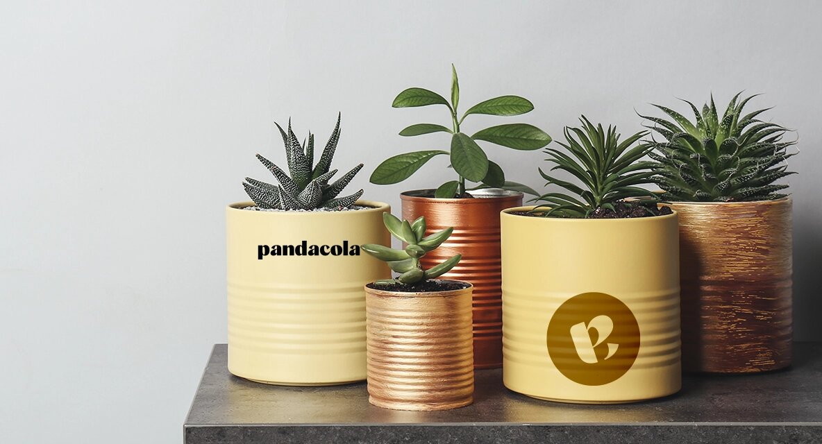 Jardin & Bricolage