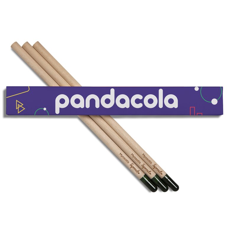 Pack 3 crayons à papier avec graines à planter packaging personnalisable| Sprout | pandacolach