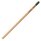 Pack 3 crayons à papier avec graines à planter packaging personnalisable| Sprout | pandacolach - thumb - 1