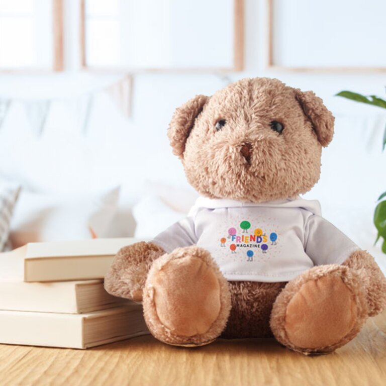 Grand ours en peluche personnalisé avec sweat à capuche - Madou | pandacola - 2