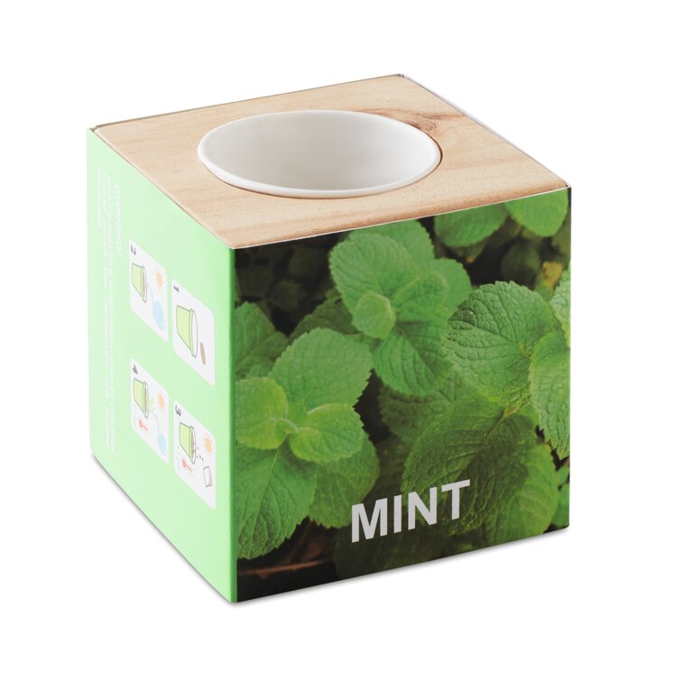 Pot personnalisé en bois avec graines de menthe - Menta | pandacolach