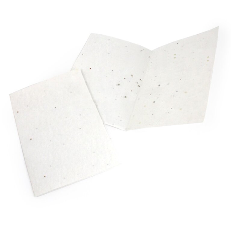 Carte à planter biodégradable 2 rabat 21 x 14,8 cm - Lizzy | pandacolach