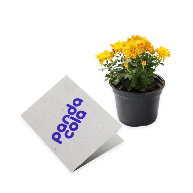Carte à planter biodégradable 2 rabat 21 x 14,8 cm - Lizzy | pandacolach - 1