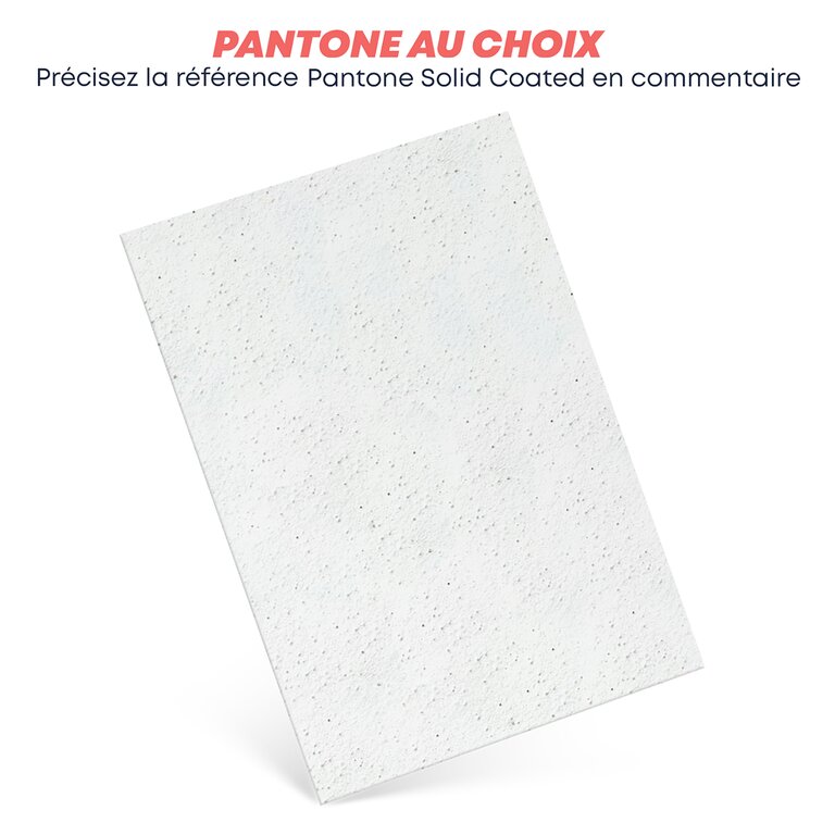 Carte d'invitation personnalisée à planter en papier - Polva | pandacolach