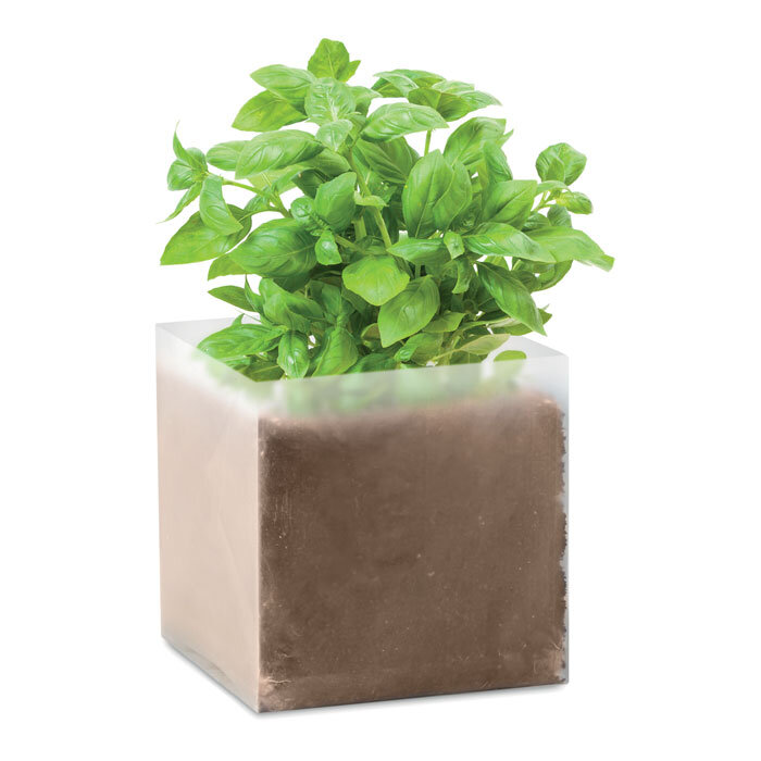 Sachet personnalisé avec graines à faire pousser - Basil | pandacolach