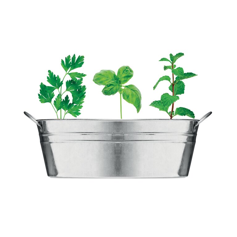 Bac à plantes personnalisable avec graines et terreau - Raifo | pandacola - 1