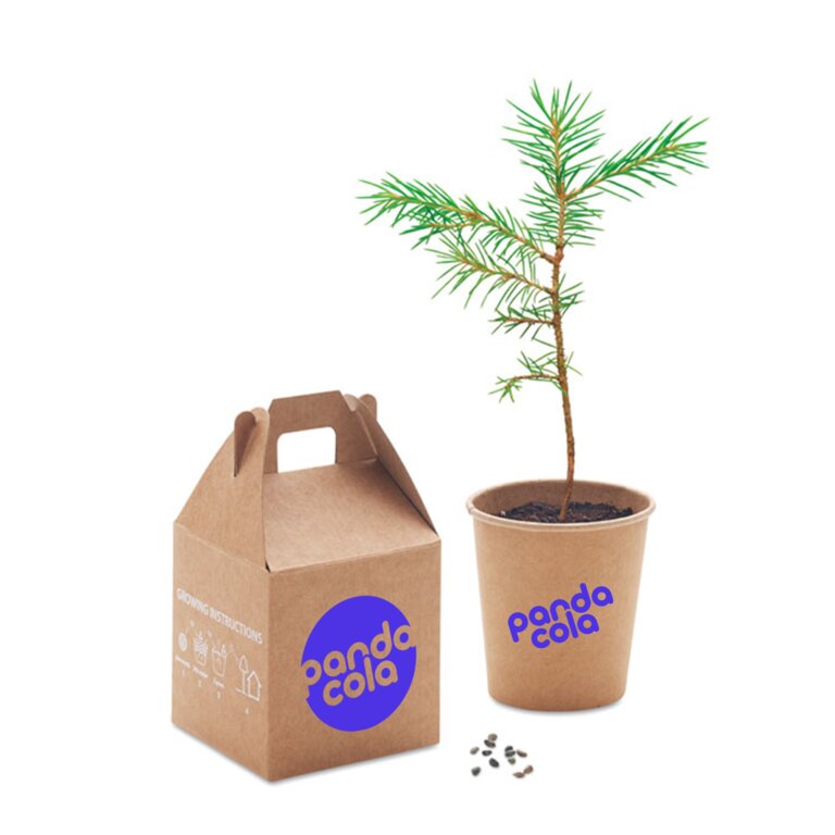 Kit de plantation personnalisable avec pot et graine de pinus nigra - Growtree | pandacola