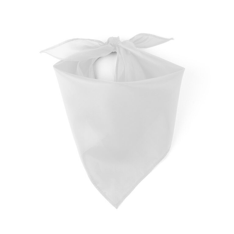 Bandana publicitaire mixte - Bandi | pandacola