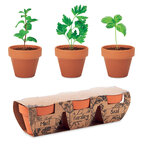 Ensemble de 3 pots de fleurs dans 3 pots différents personnalisables - Terrax | pandacola - thumb - 1