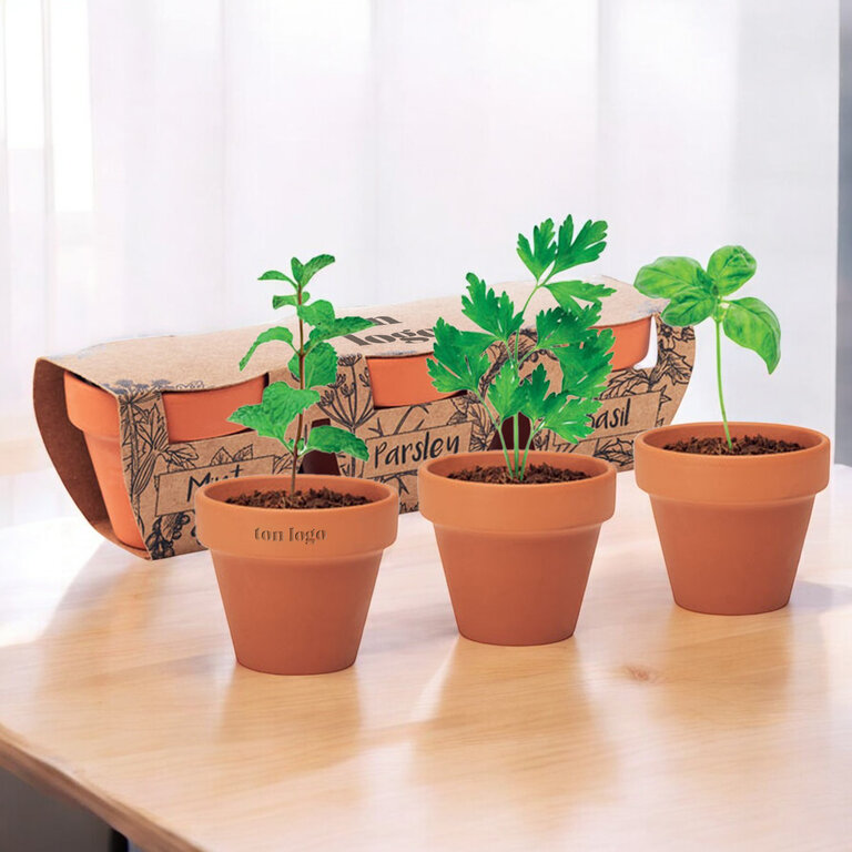 Ensemble de 3 pots de fleurs dans 3 pots différents personnalisables - Terrax | pandacolach