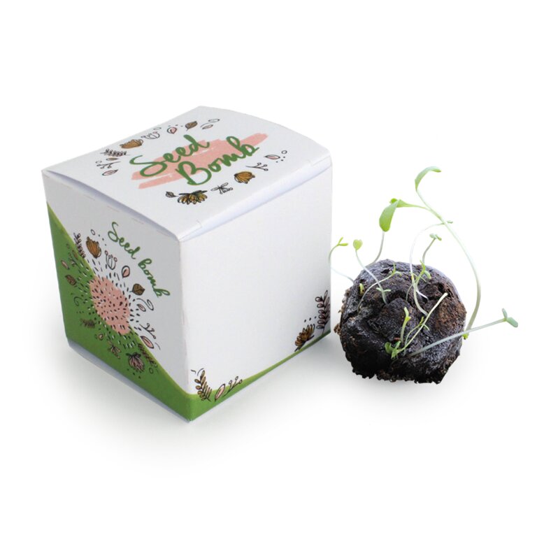Bombe à graines avec boîte personnalisée - Berni | pandacolach