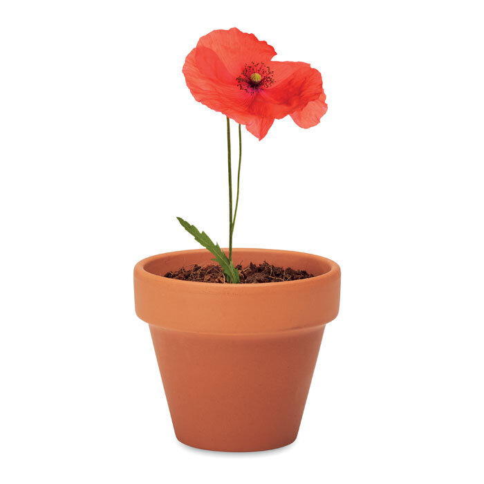 Set de culture avec son pot de fleur en terre cuite personnalisé - Poppy | pandacolach - 1