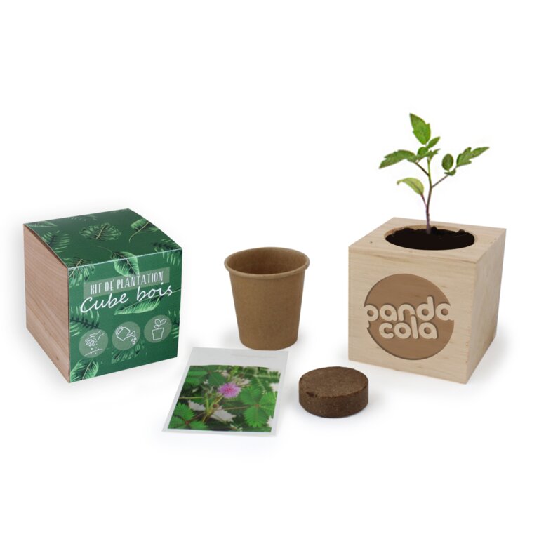 Cube personnalisable de graines en bois - Carl | pandacola