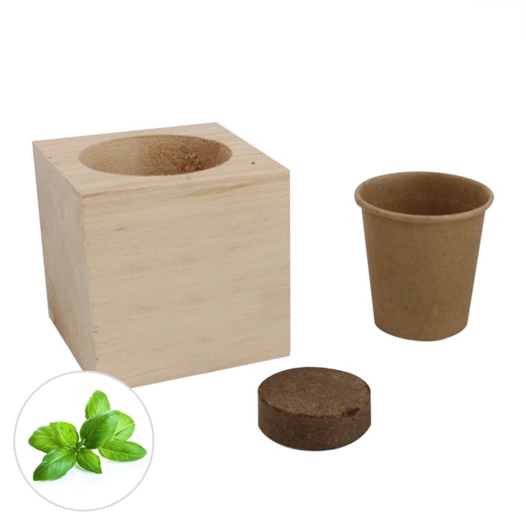 Cube personnalisable de graines en bois - Carl | pandacolach