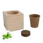 Cube personnalisable de graines en bois - Carl | pandacola - thumb