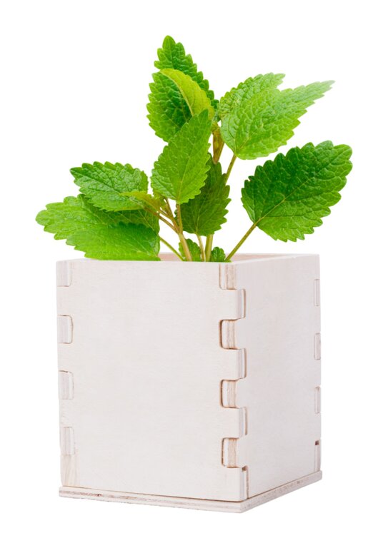 Pot à fleur publicitaire en bois avec 6-8 graines de menthe - Merin | pandacolach