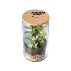 Terrarium personnalisable en verre - Makny | pandacola - thumb - 3