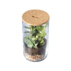 Terrarium personnalisable en verre - Makny | pandacola - thumb