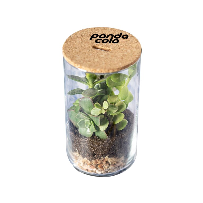 Terrarium personnalisable en verre - Makny | pandacolach