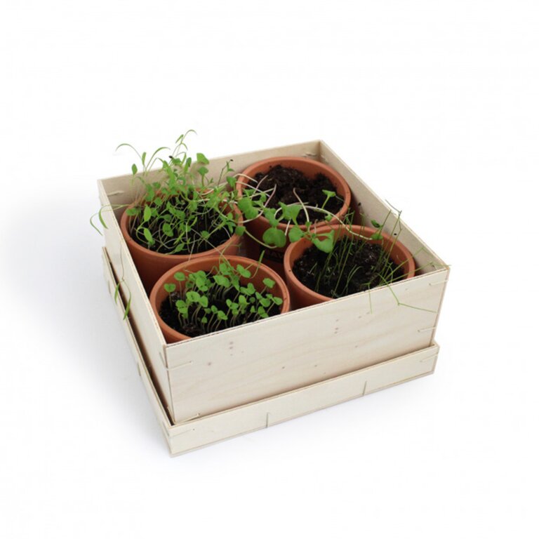 Coffret aromatique personnalisable en bois - Bini | pandacolach - 2