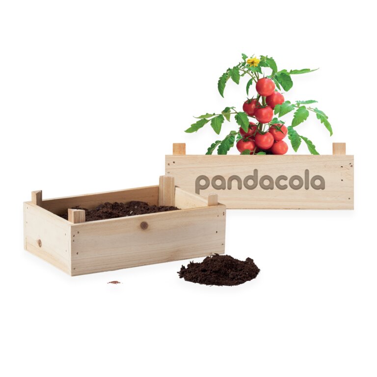 Kit de culture personnalisable en bois - Raicolt | pandacola