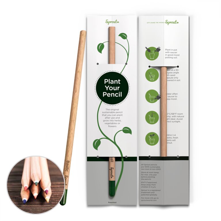 Crayon de couleur personnalisé avec graines à planter packaging standard | Sprout | pandacolach