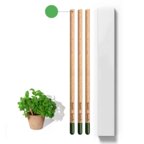 Pack 3 crayons de couleur avec graines à planter packaging personnalisable | Sprout | pandacolach - thumb