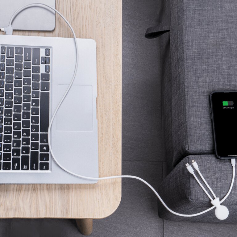 Câble 1m personnalisable multi-fonction recyclé - Mr Bio long | pandacola - 2