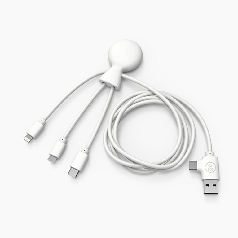 Câble 1m personnalisable multi-fonction recyclé - Mr Bio long | pandacola