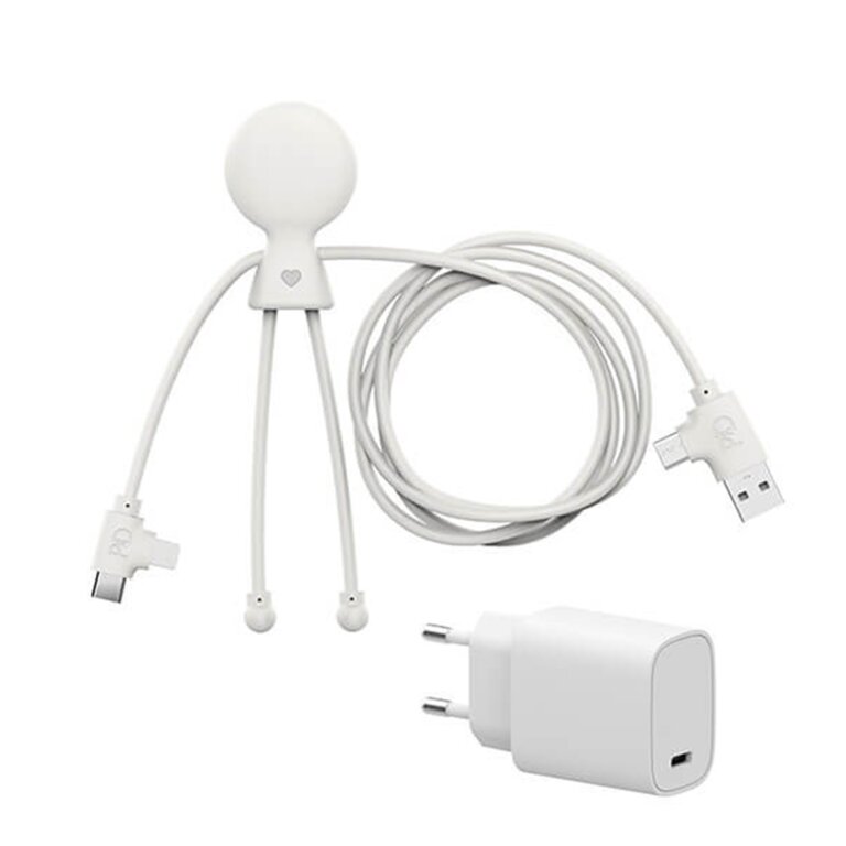 Pack charge rapide câble (60W) et adaptateur personnalisable - Mr bio fast pack | pandacolach