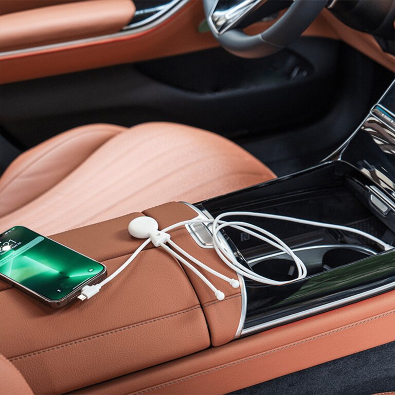 Cable de chargement fast charge carplay personnalisable - Mr bio long fast | pandacolach - 2