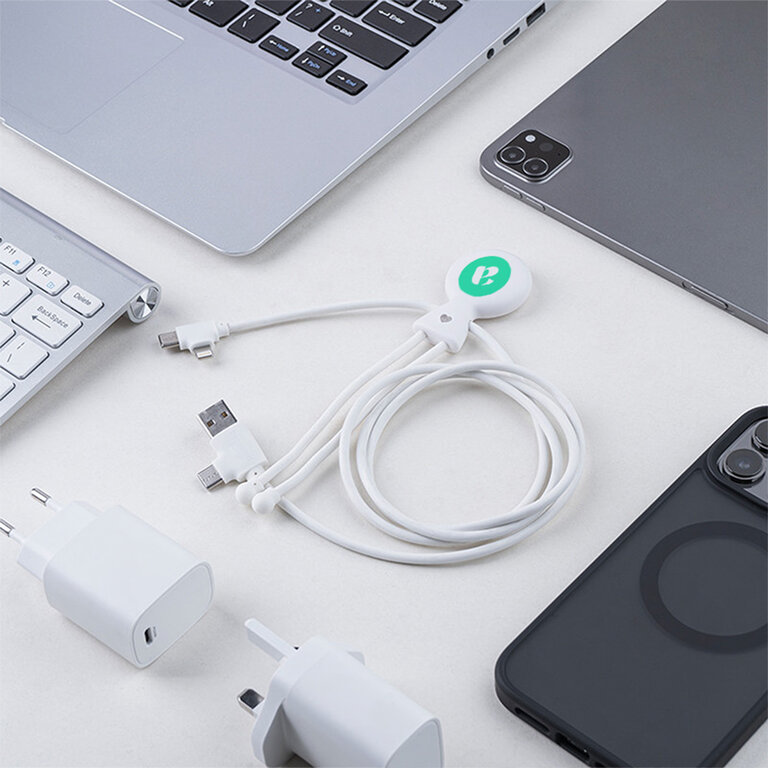 Cable de chargement fast charge carplay personnalisable - Mr bio long fast | pandacolach - 3