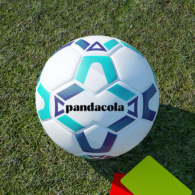 Ballon de foot personnalisable taille 5 officielle en PVC et Nylon - Travis | pandacola