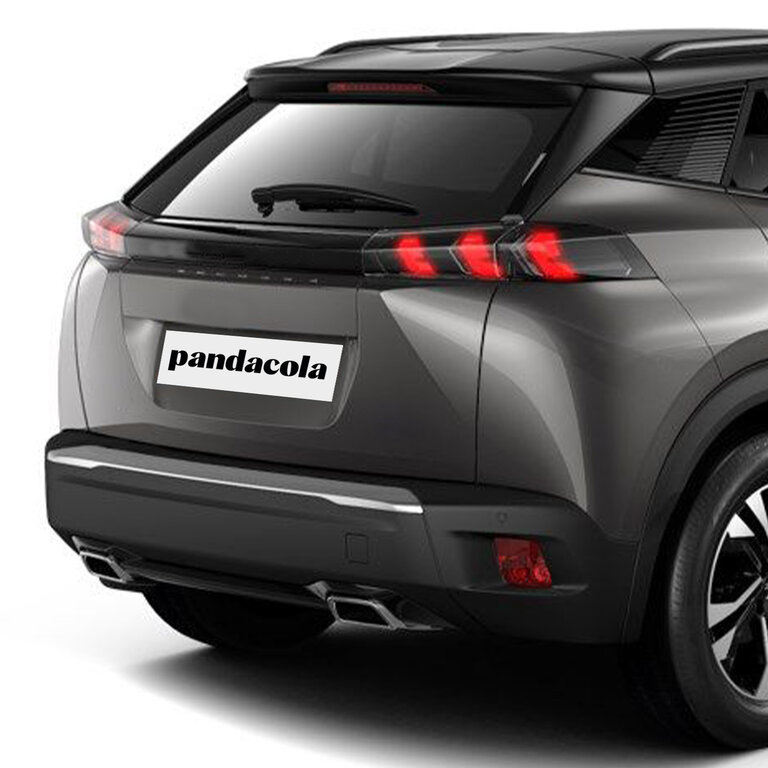 Cache-plaque d’immatriculation de voiture en PVC à personnaliser | pandacolach