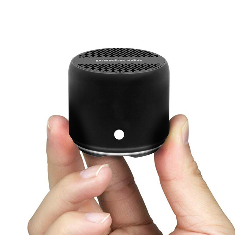 Enceinte sans fil publicitaire 700 mAh | pandacolach