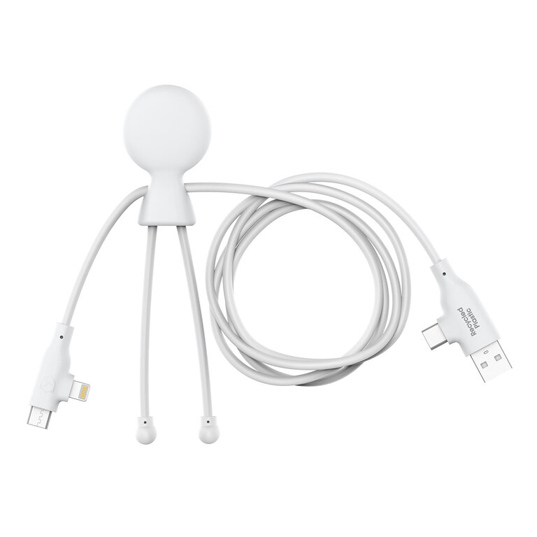 Câble de chargement fast charge carplay personnalisable - Mr bio long fast 60W | pandacolach