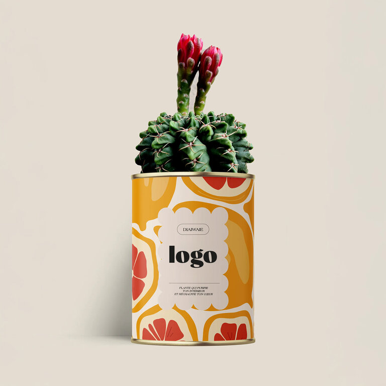 Plante dépolluante personnalisable - Just a perfect day | Diaïwaïe | pandacolach