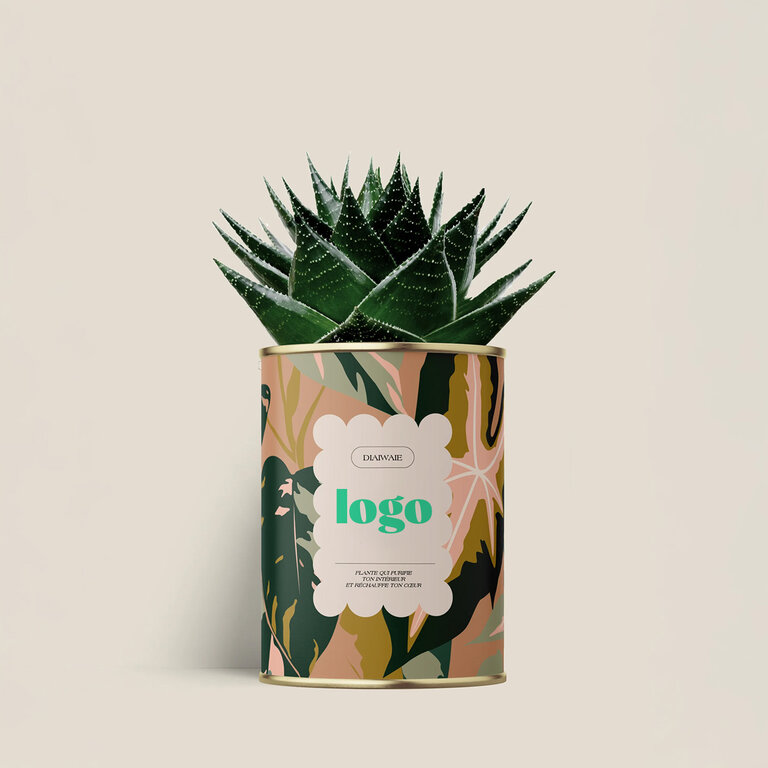 Plante dépolluante personnalisable - Oh happy day | Diaïwaïe | pandacolach