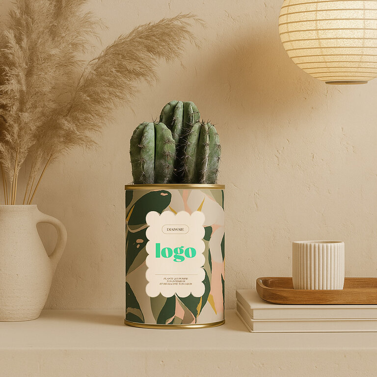Plante dépolluante personnalisée Made in France – Cactus en pot | pandacolach