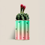 Plante dépolluante 100% personnalisable Made in France – Cactus en pot | pandacolach - thumb
