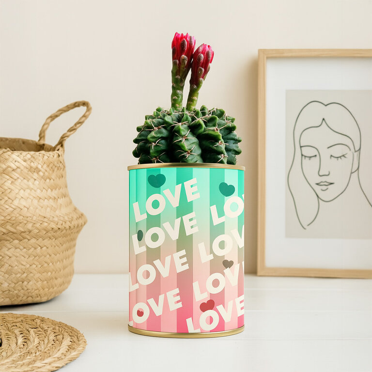 Plante dépolluante 100% personnalisable Made in France – Cactus en pot | pandacolach