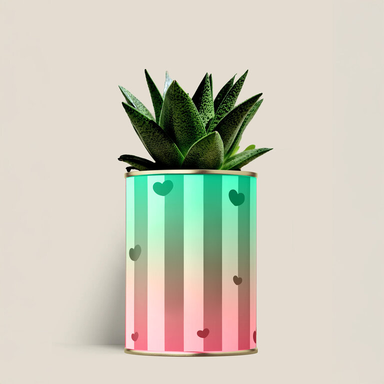 Plante dépolluante 100% personnalisable Made in France – Aloe Vera en pot | pandacolach