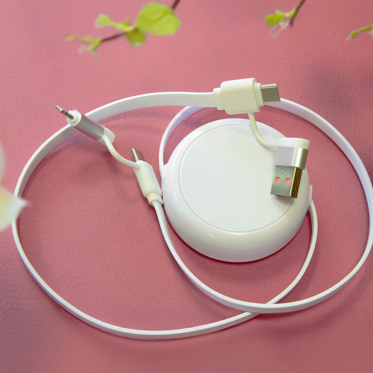 Express 72h - Câble dérouleur promotionnel 4 en 1 – Charge rapide 20W  - Anwa | pandacolach - 1