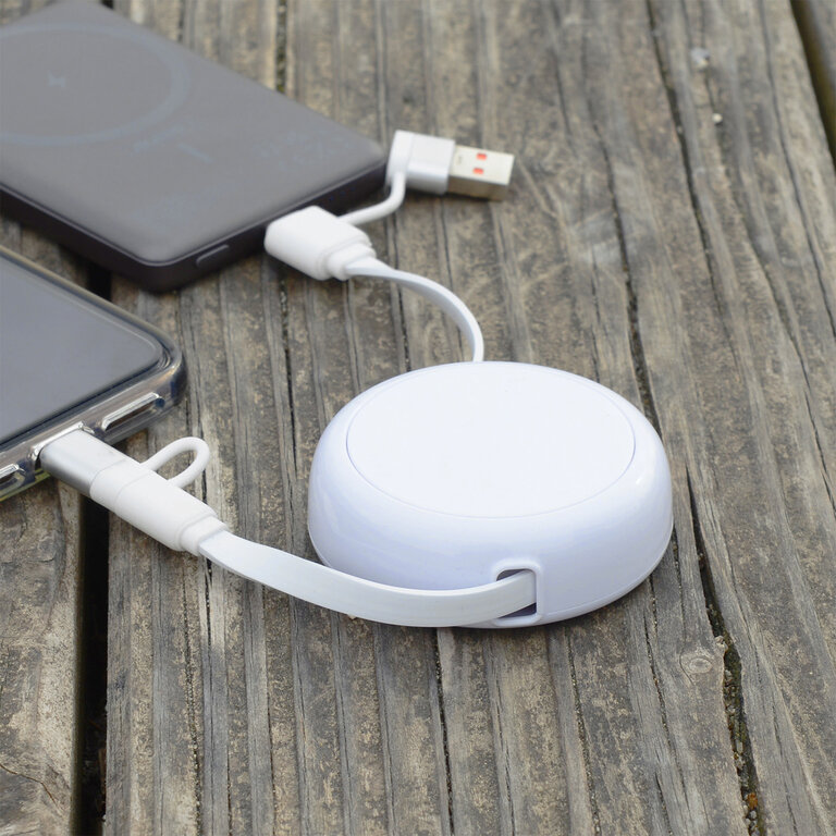 Express 72h - Câble dérouleur promotionnel 4 en 1 – Charge rapide 20W  - Anwa | pandacolach - 2