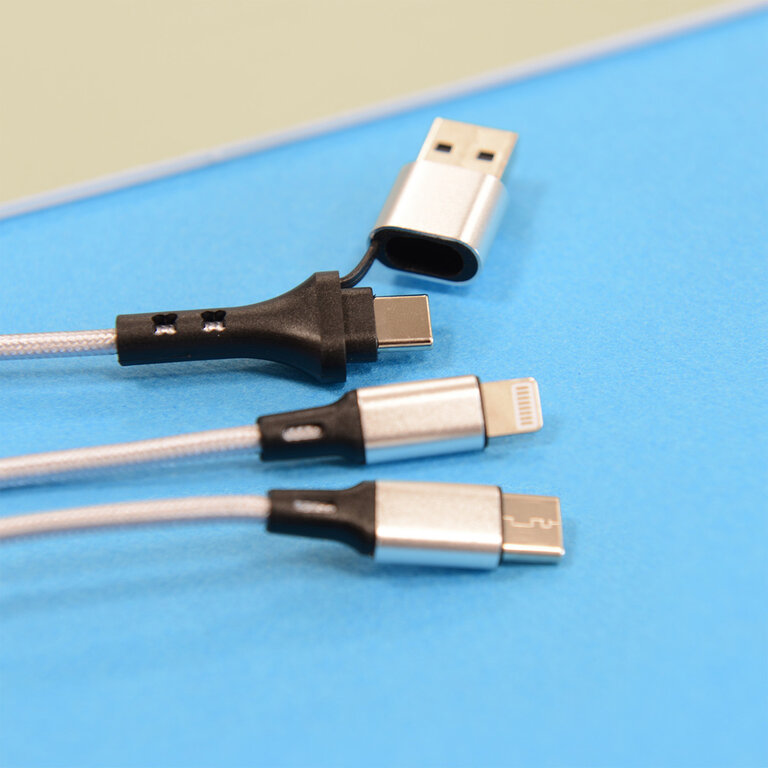 Express 72h - Câble de charge personnalisable 4 en 1 20W – en matériaux recyclés - Renkei | pandacolach - 3