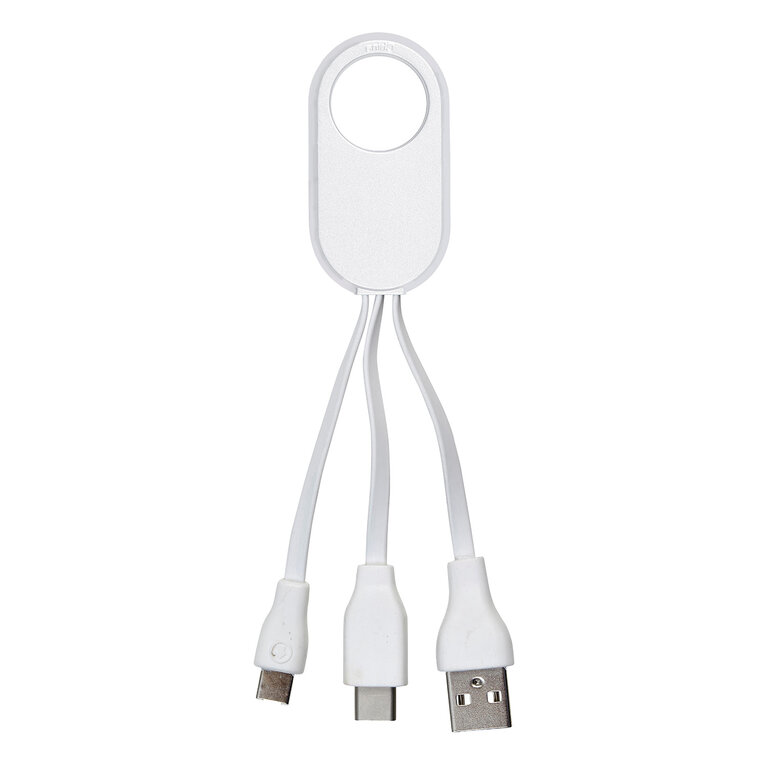 Câble de charge personnalisable 2 en 1 - Link | pandacolach
