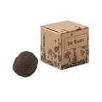 Kit de culture de graines personnalisable - Blome | pandacola - thumb