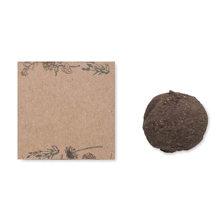 Kit de culture de graines personnalisable - Blome | pandacolach - 1