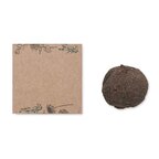 Kit de culture de graines personnalisable - Blome | pandacolach - thumb - 1