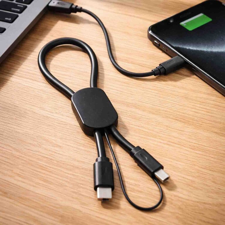 Câble de charge mini publicitaire 60W - Potio | pandacola - 1